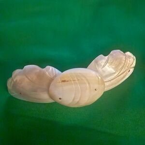 Elegant Cream Shell Hair Clip